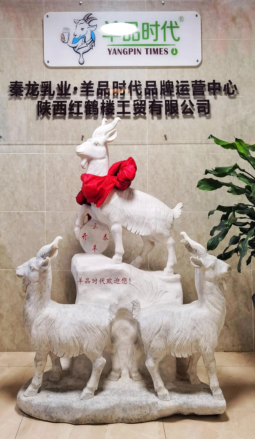 55a33def801e49995f877ed79410fcaf